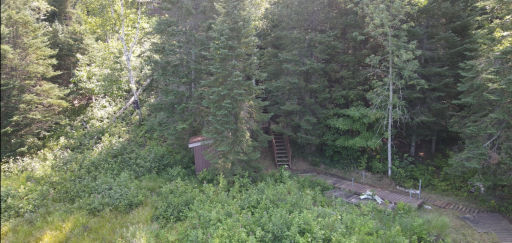 37800 Grave Lake Forest Road, Deer River, MN 56636
