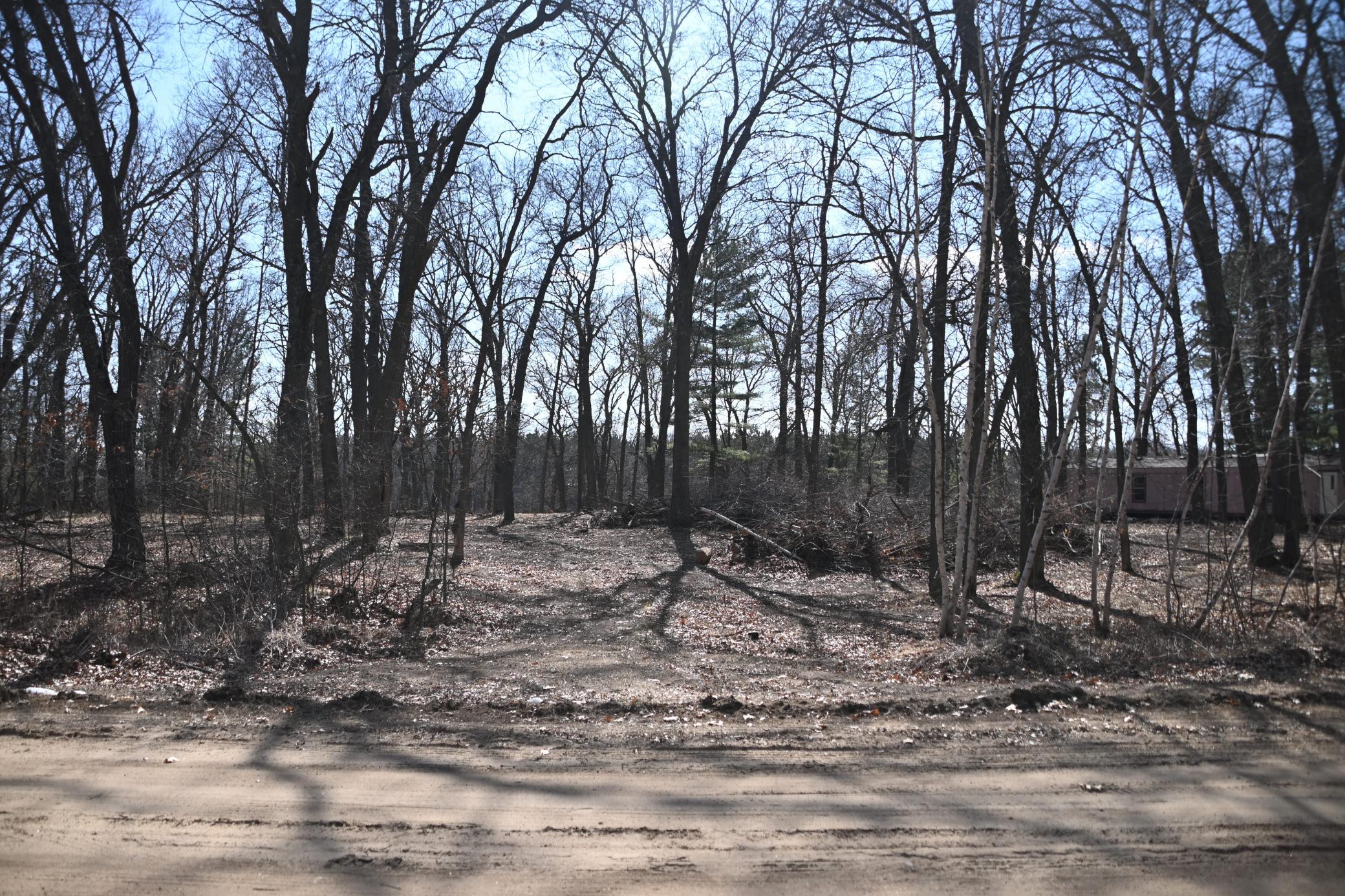 driveway.jpg