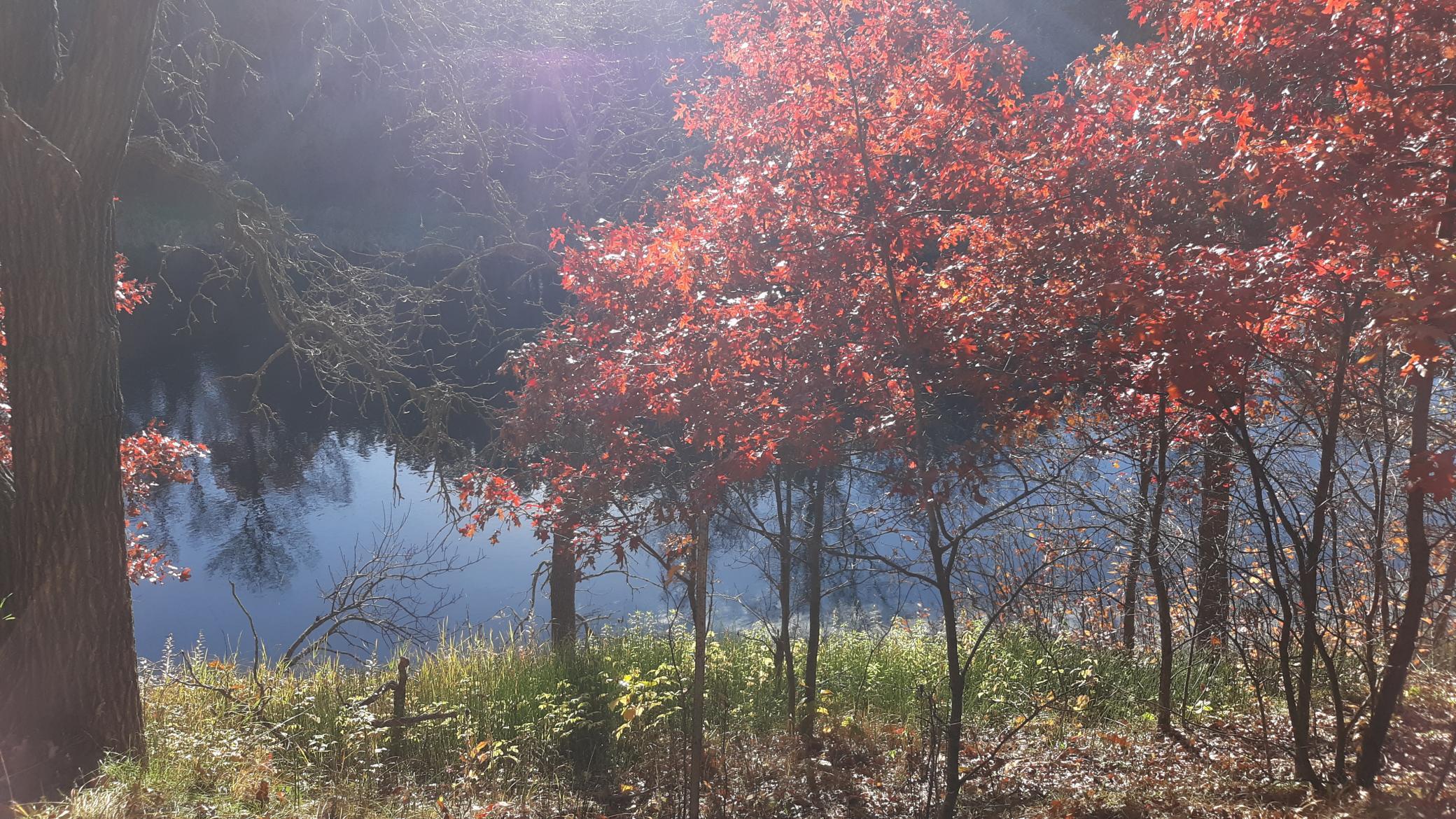 fall