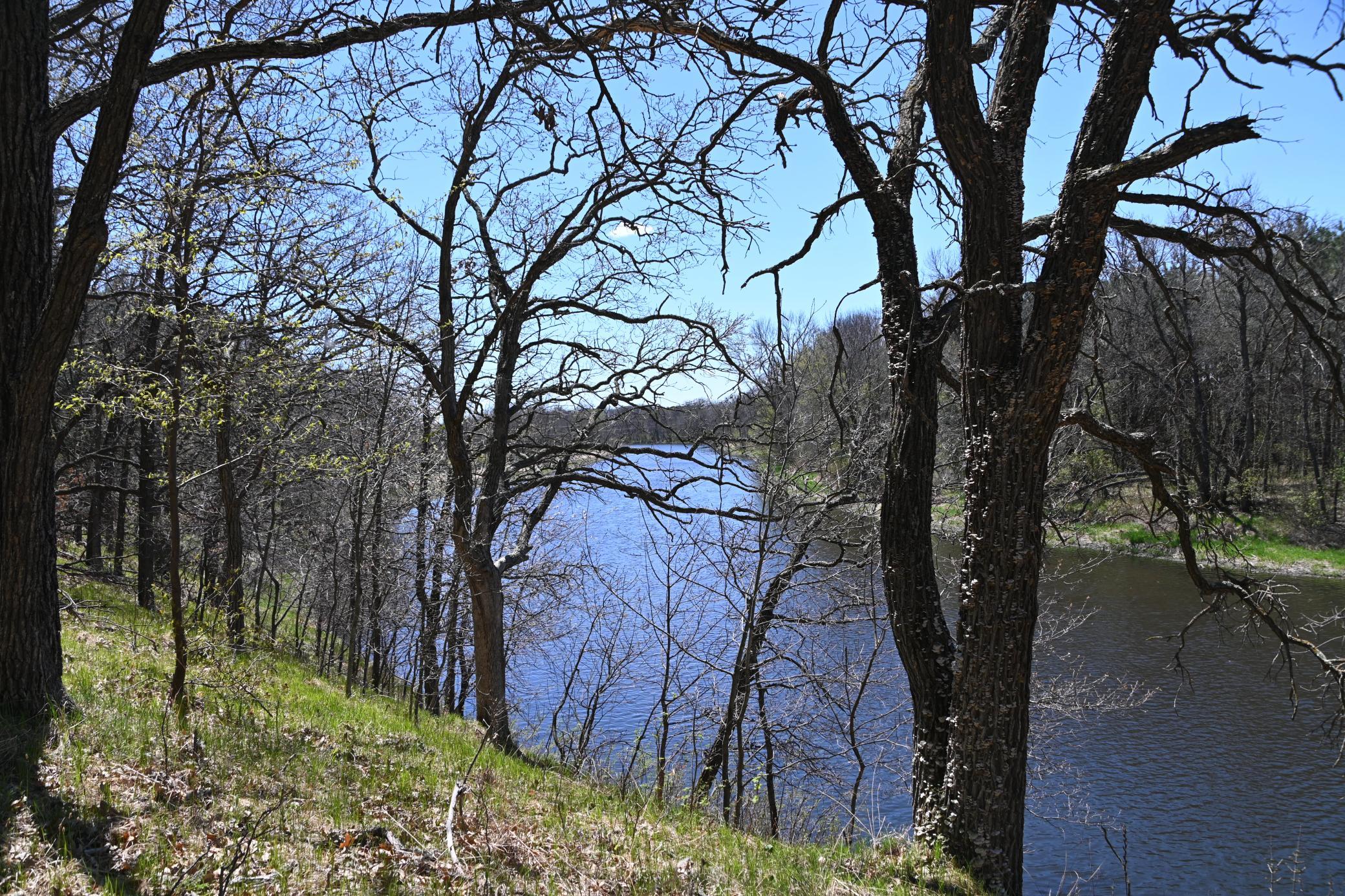 DSC_9590.JPG
