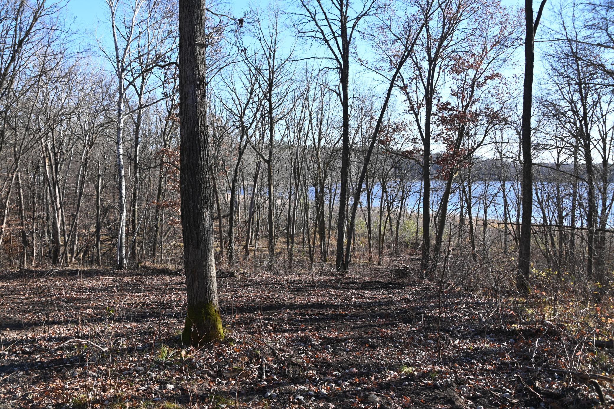 DSC_8744.JPG