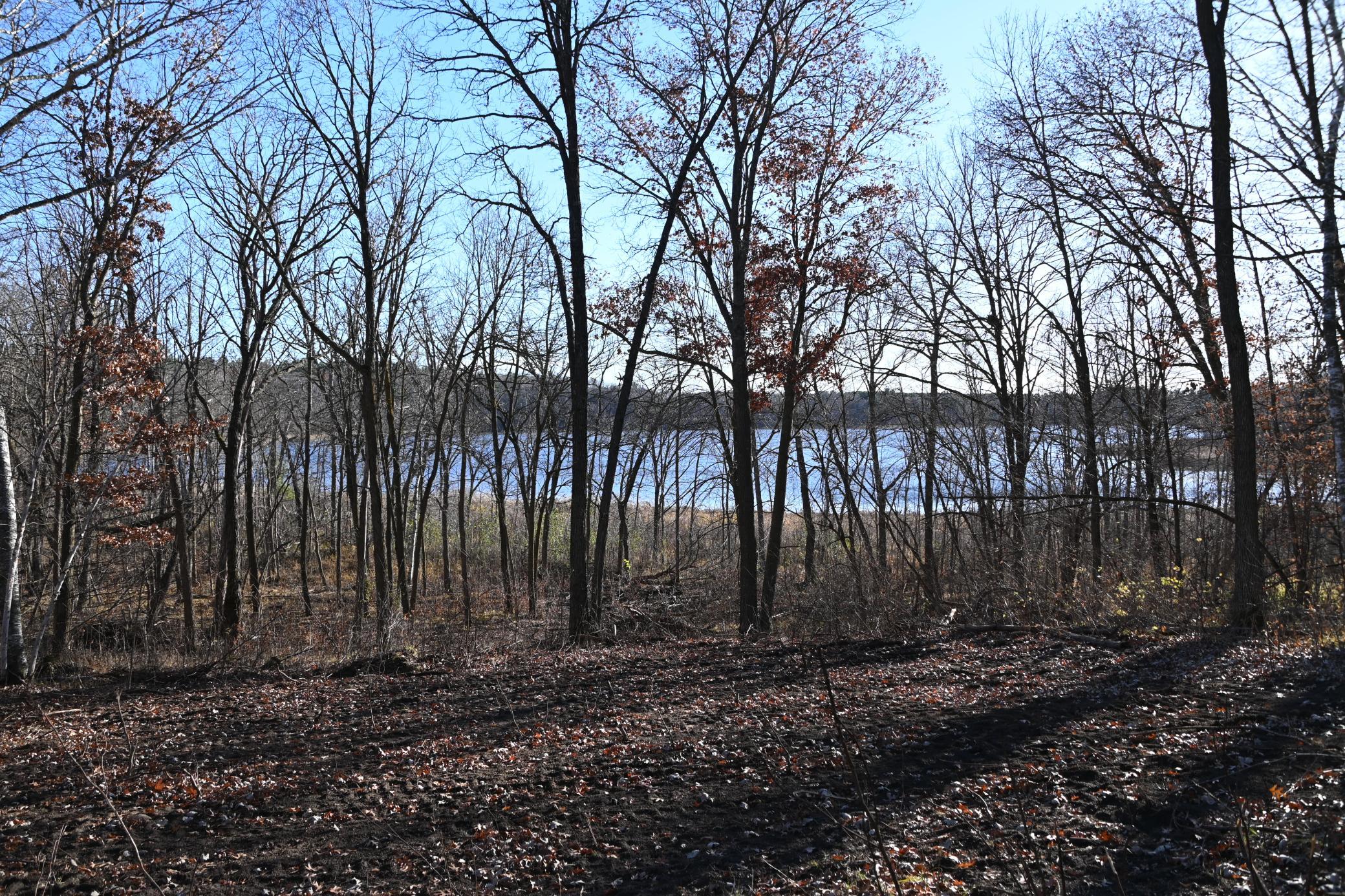 DSC_8746.JPG