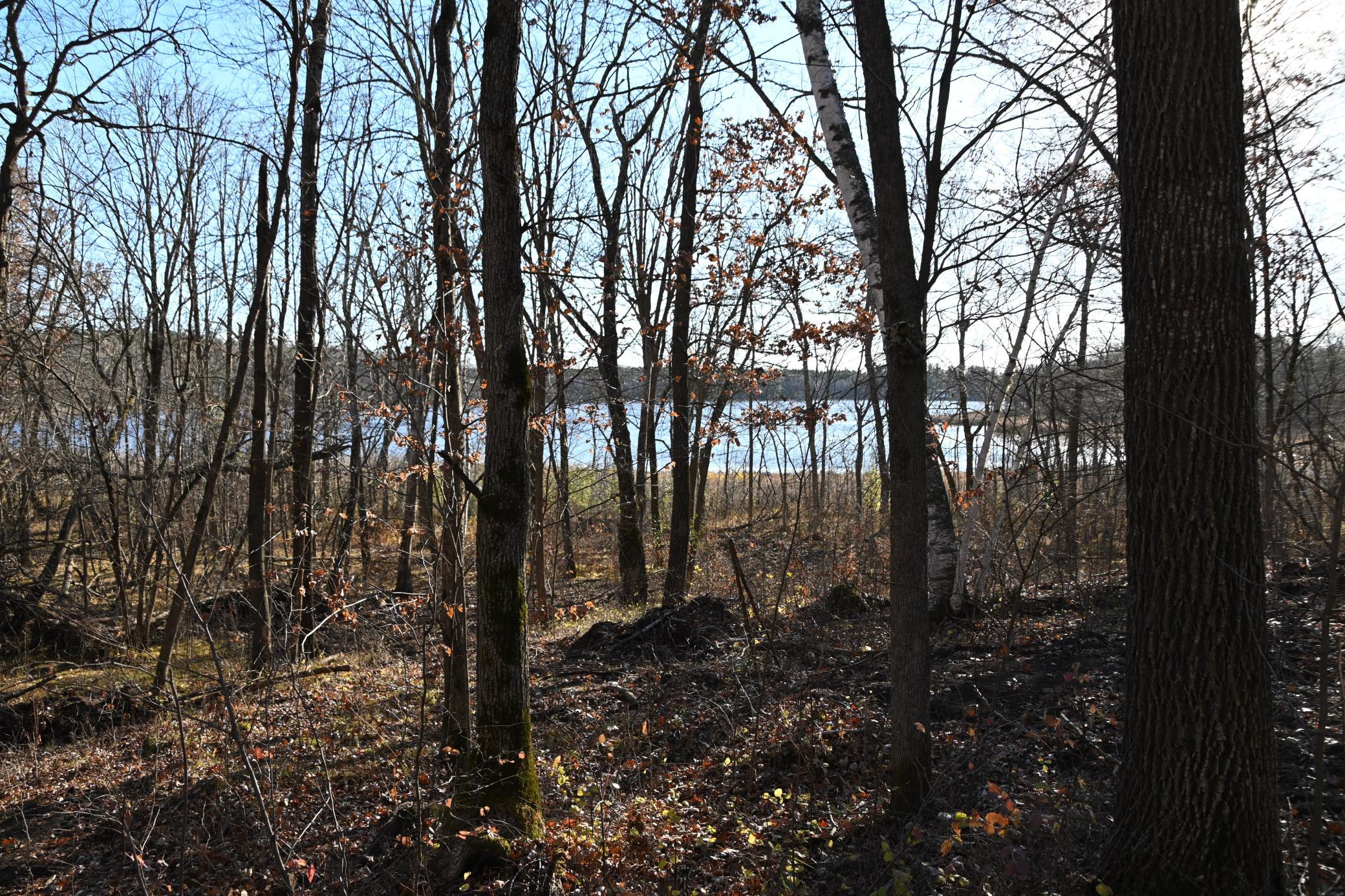 DSC_8749.JPG