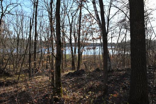 DSC_8749.JPG
