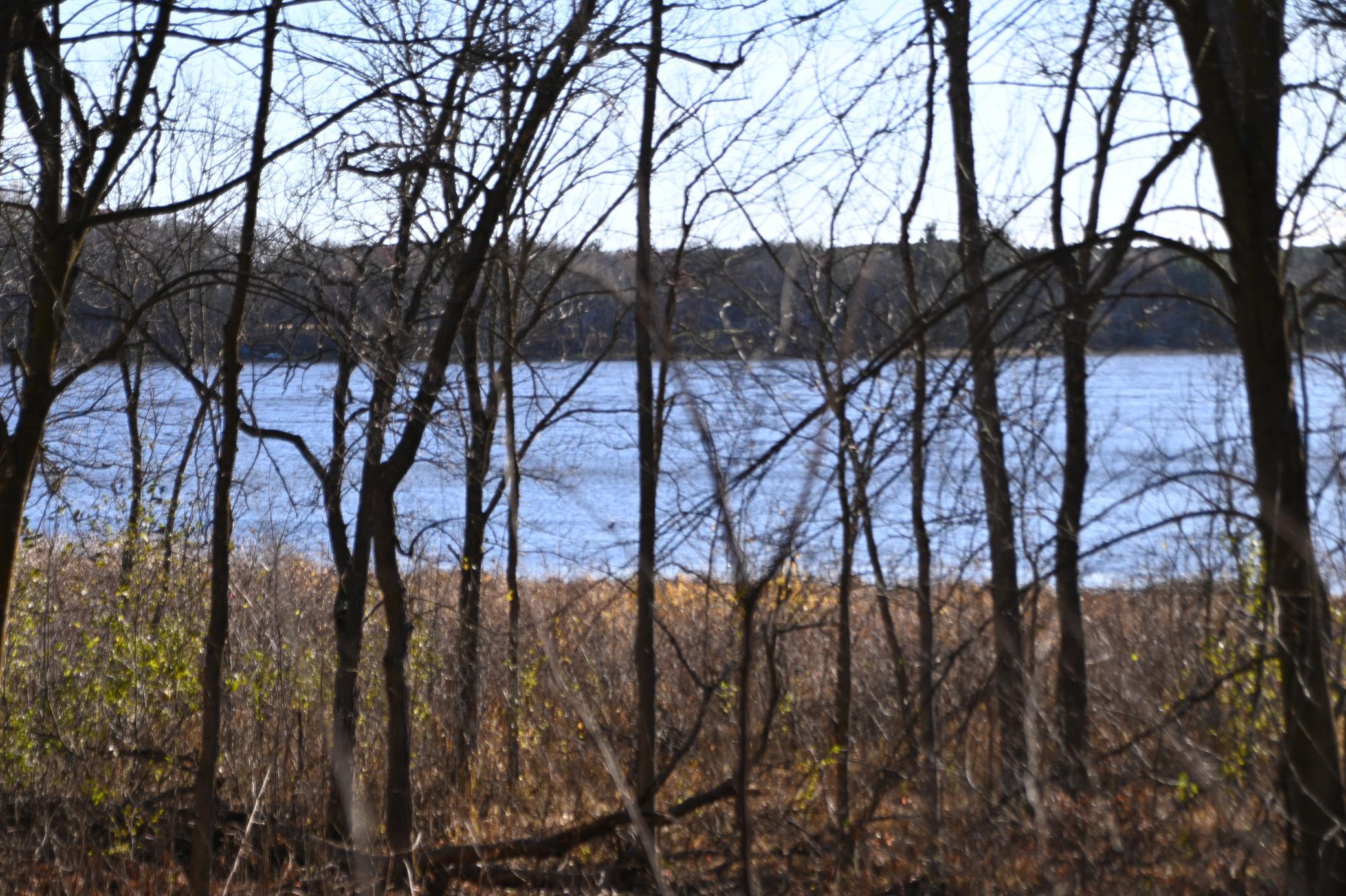 DSC_8751.JPG