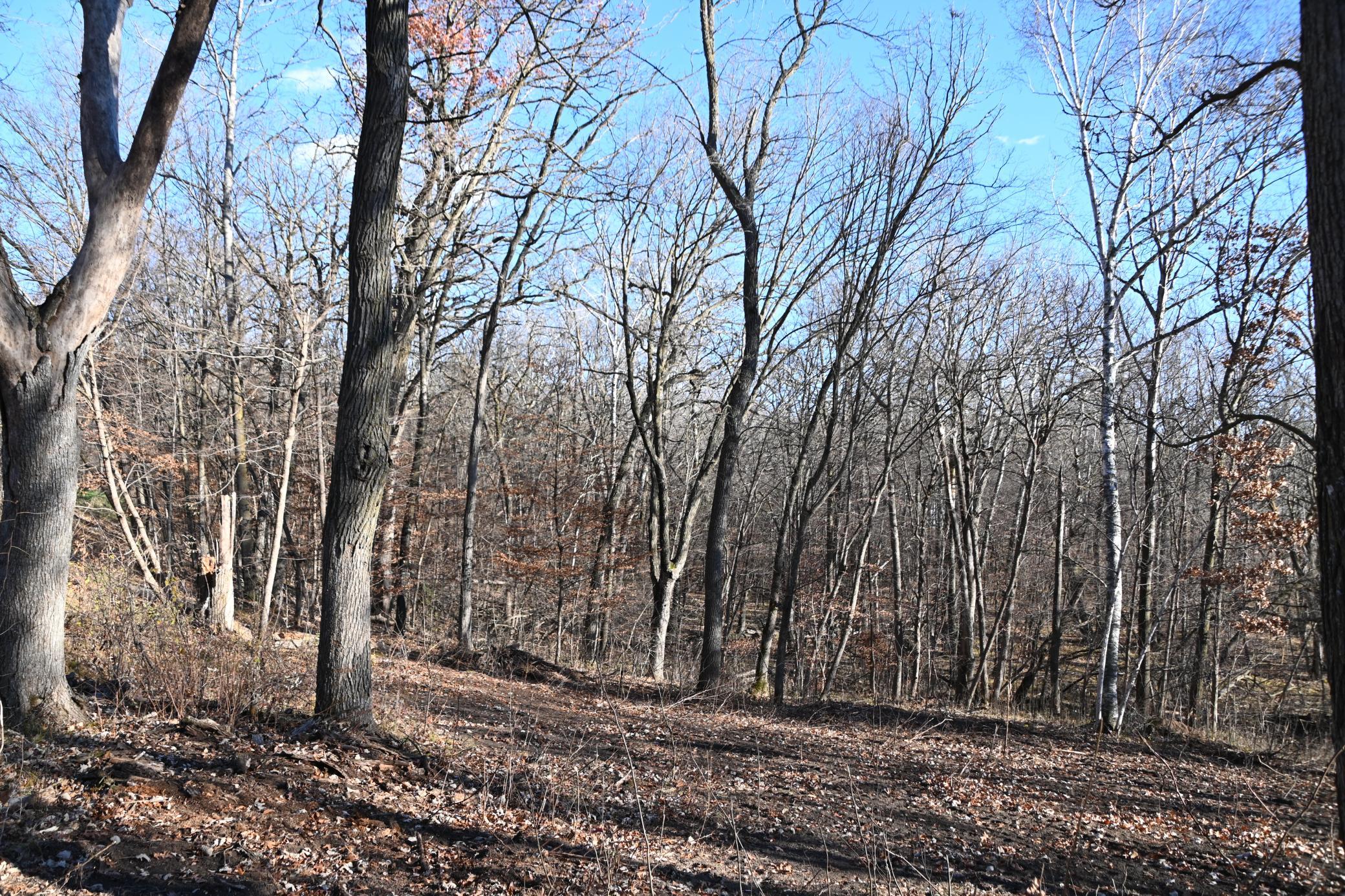 DSC_8764.JPG