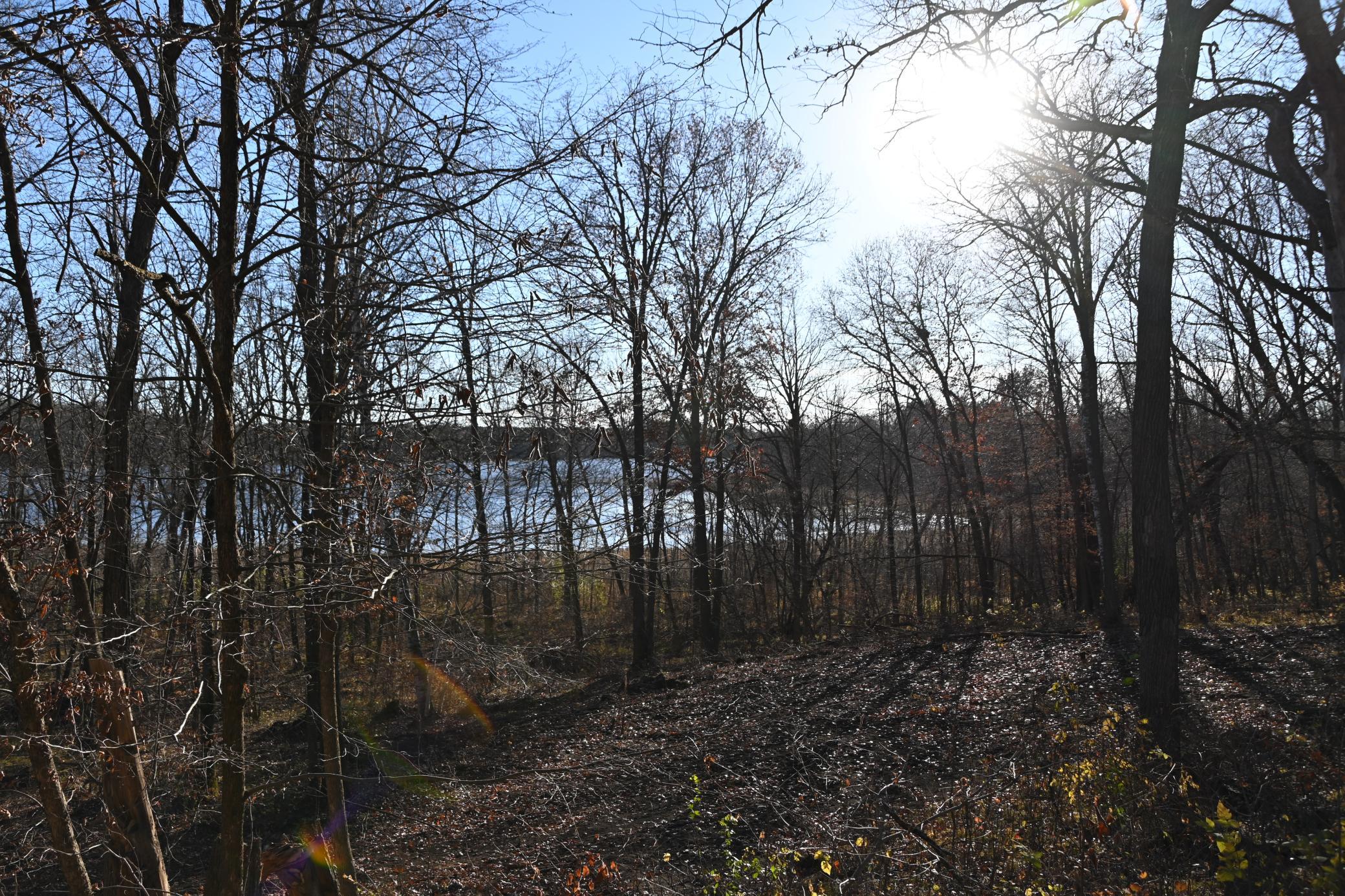 DSC_8765.JPG