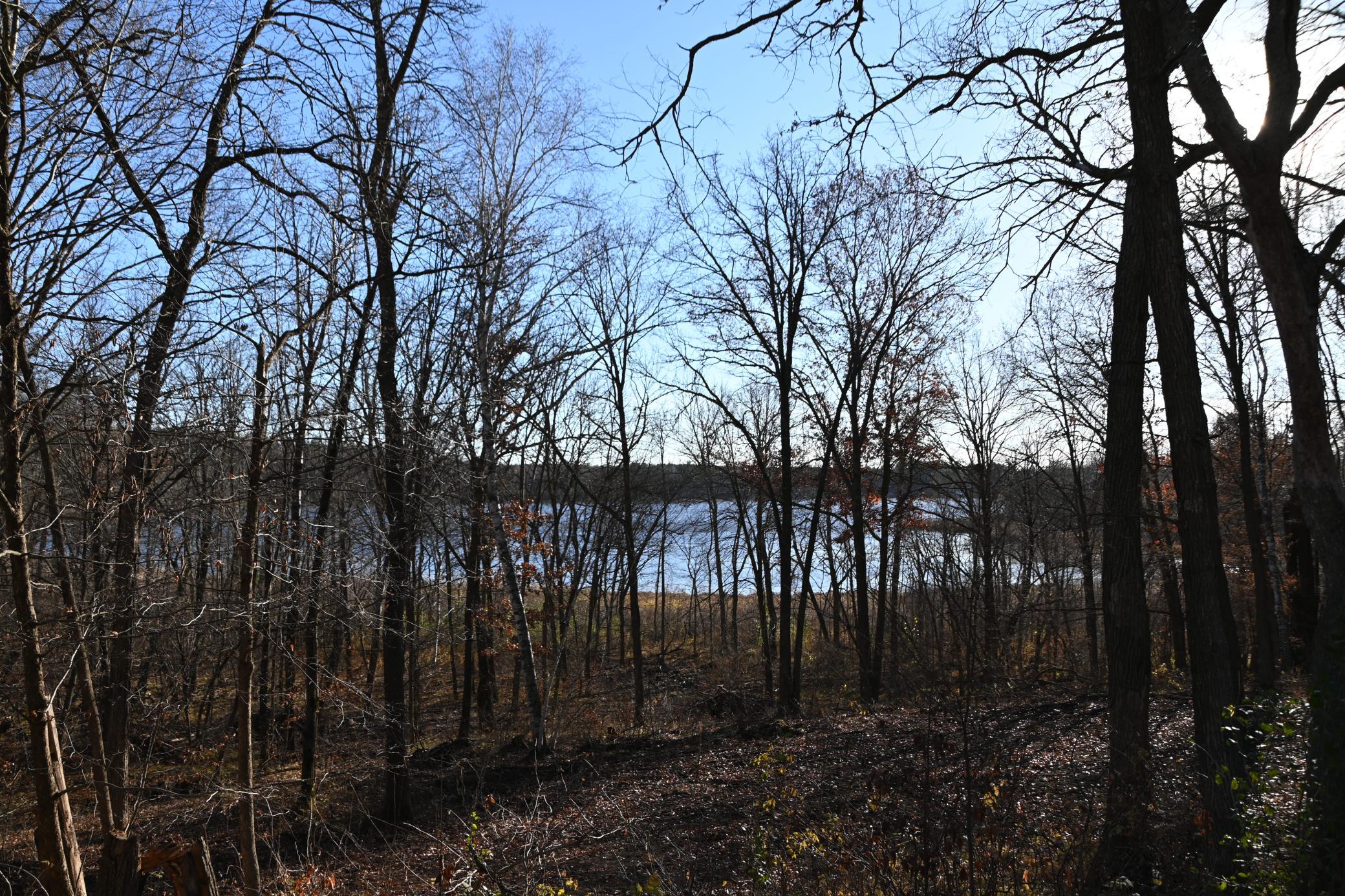 DSC_8766.JPG