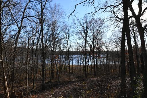 DSC_8766.JPG