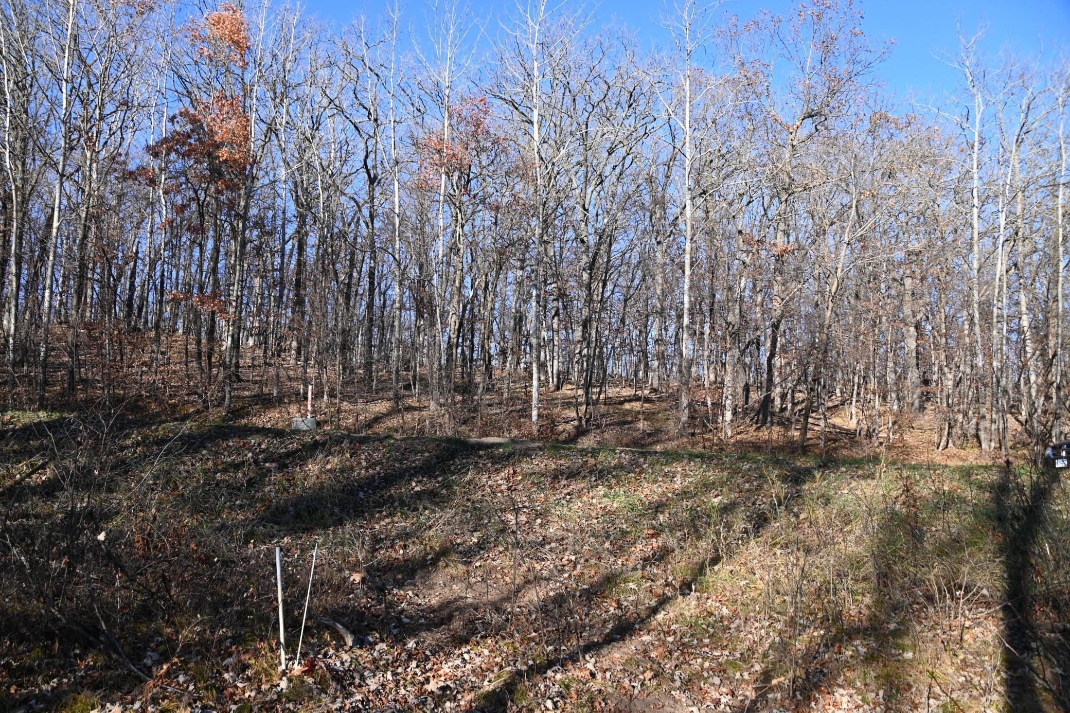Right side of lot Marked with White Stakes (if standing on road facing lot and lake)
