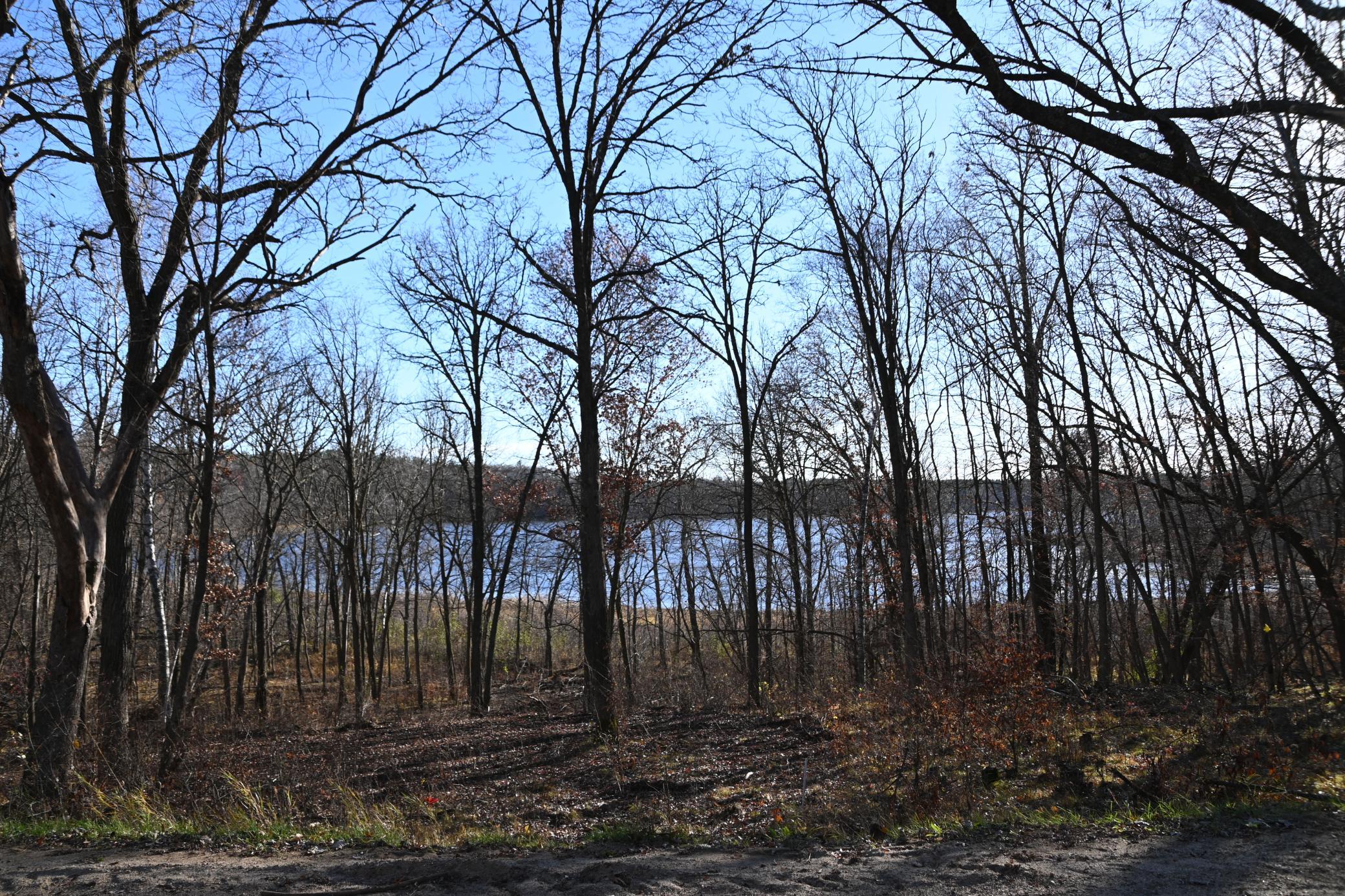 DSC_8741.JPG