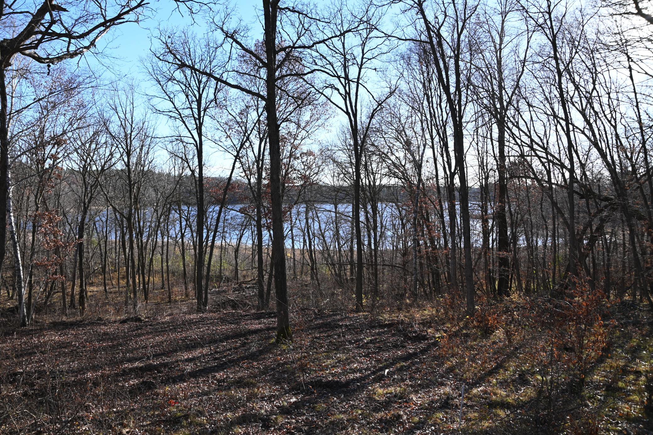 DSC_8743.JPG