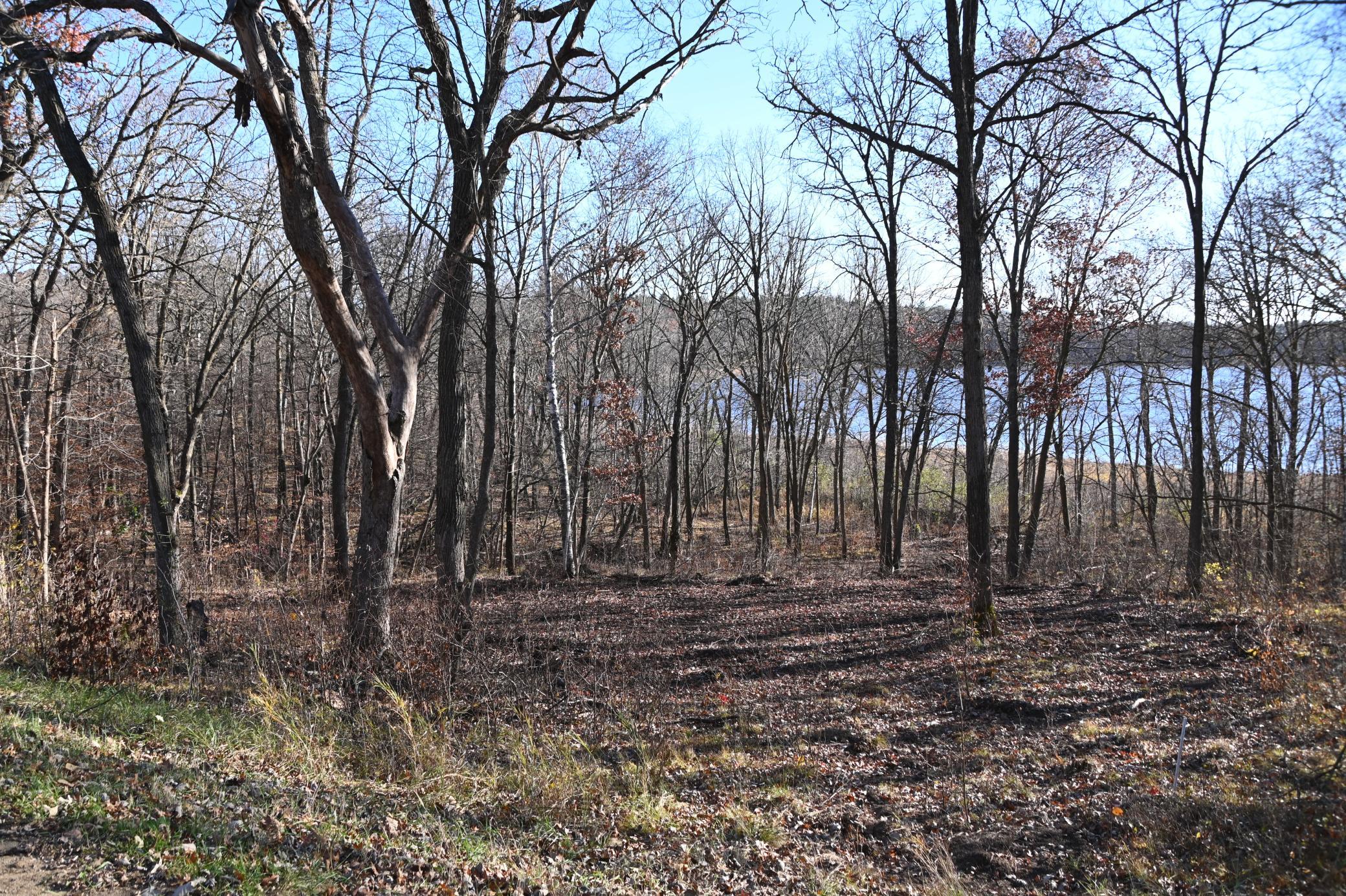 DSC_8742.JPG