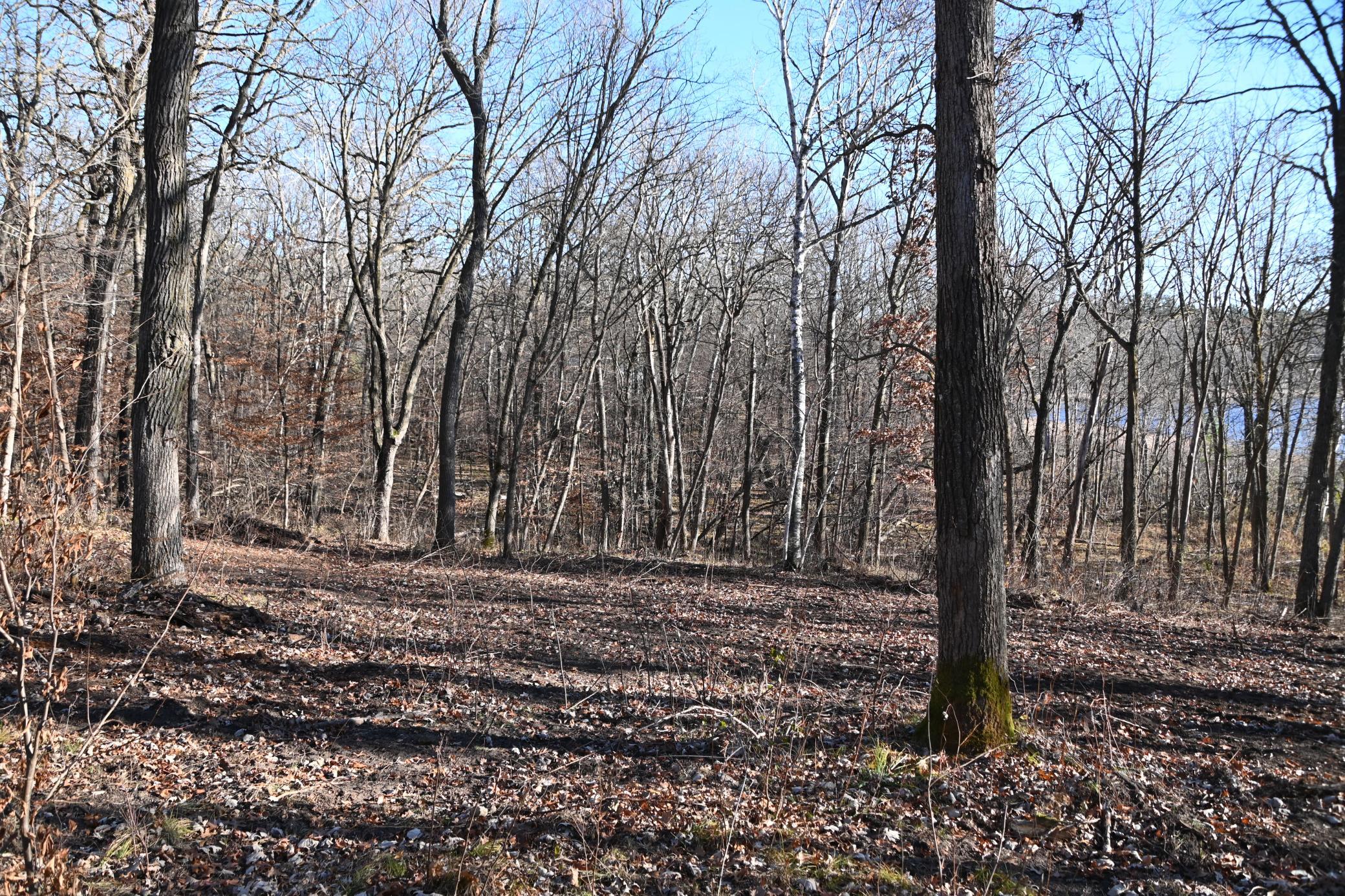 DSC_8745.JPG