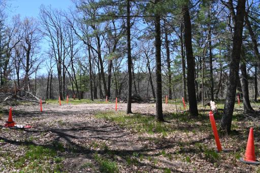 38903 Odin Court, Browerville, MN 56438