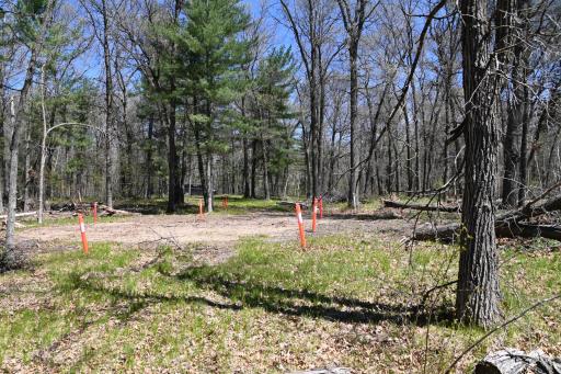 38903 Odin Court, Browerville, MN 56438