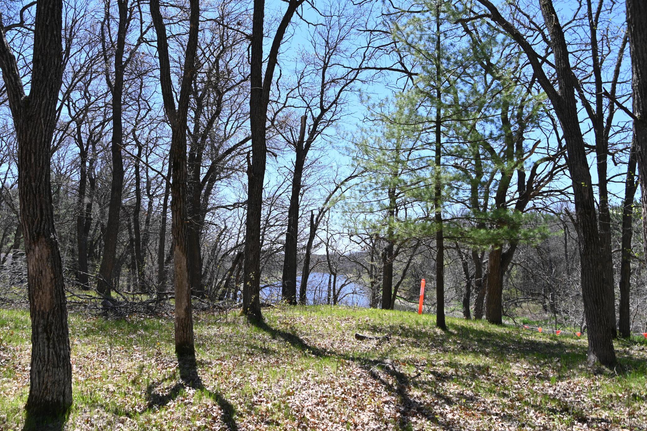 DSC_9579.JPG