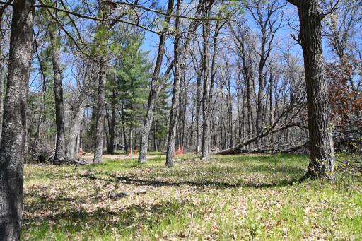 38903 Odin Court, Browerville, MN 56438