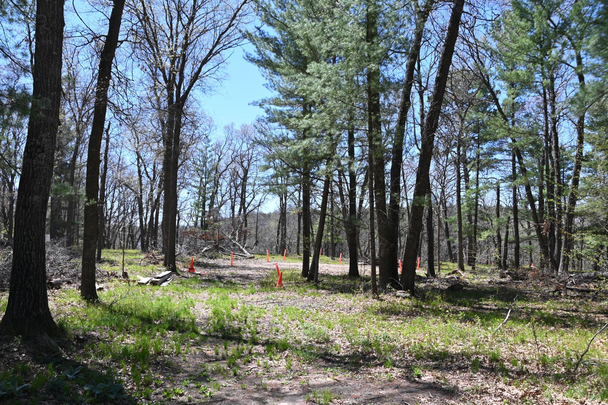 DSC_9574.JPG