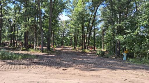 38903 Odin Court, Browerville, MN 56438