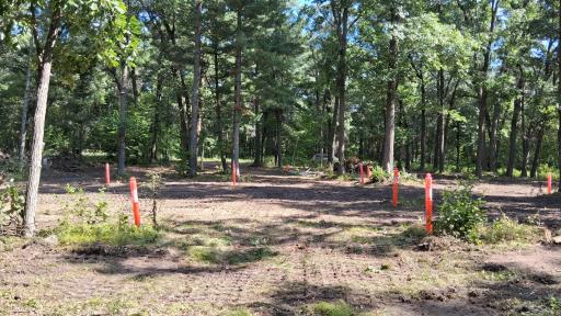 38903 Odin Court, Browerville, MN 56438