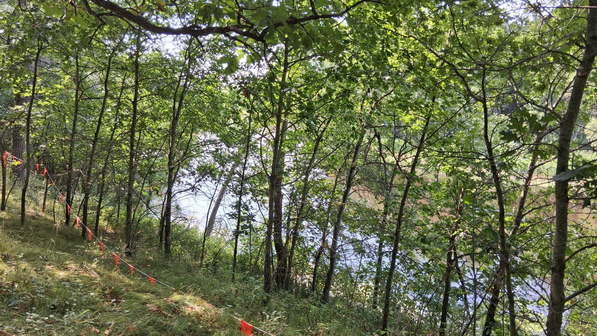 20260825_112949.jpg