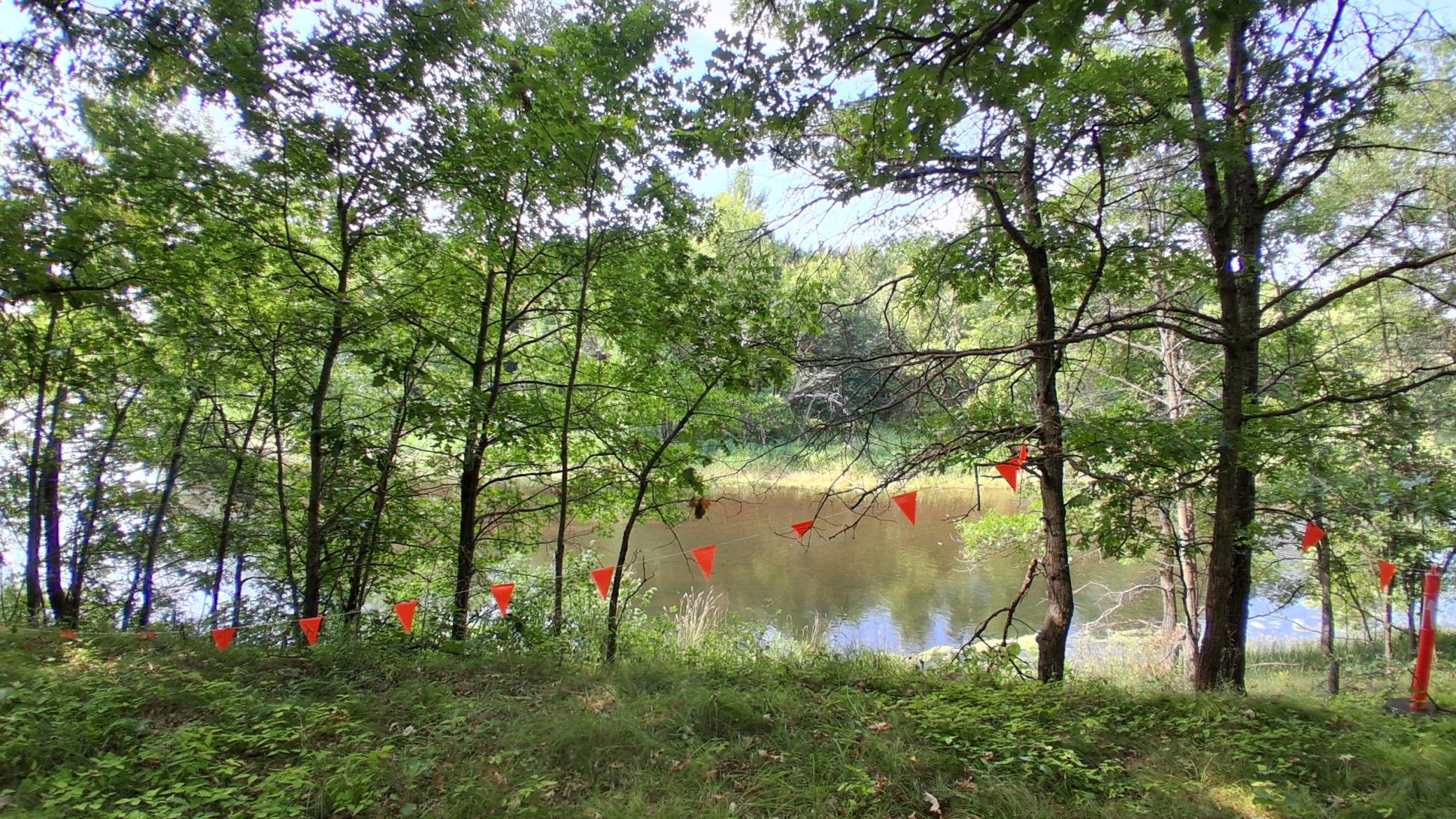 20260825_113009.jpg