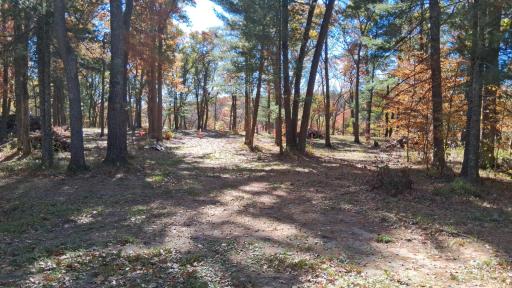 38903 Odin Court, Browerville, MN 56438