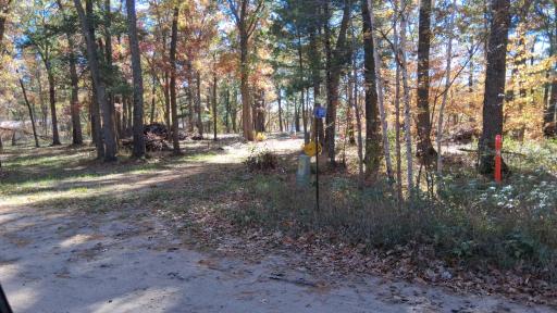 38903 Odin Court, Browerville, MN 56438