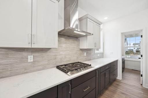 Upgraded Gourmet Kitchen with walk-in pantry