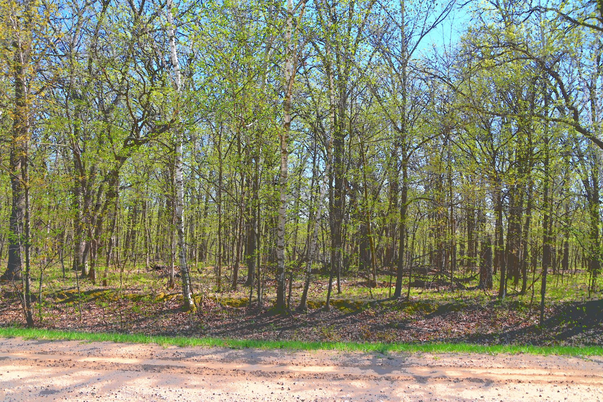Property photo for TBD 392 Street, Browerville, MN 56438