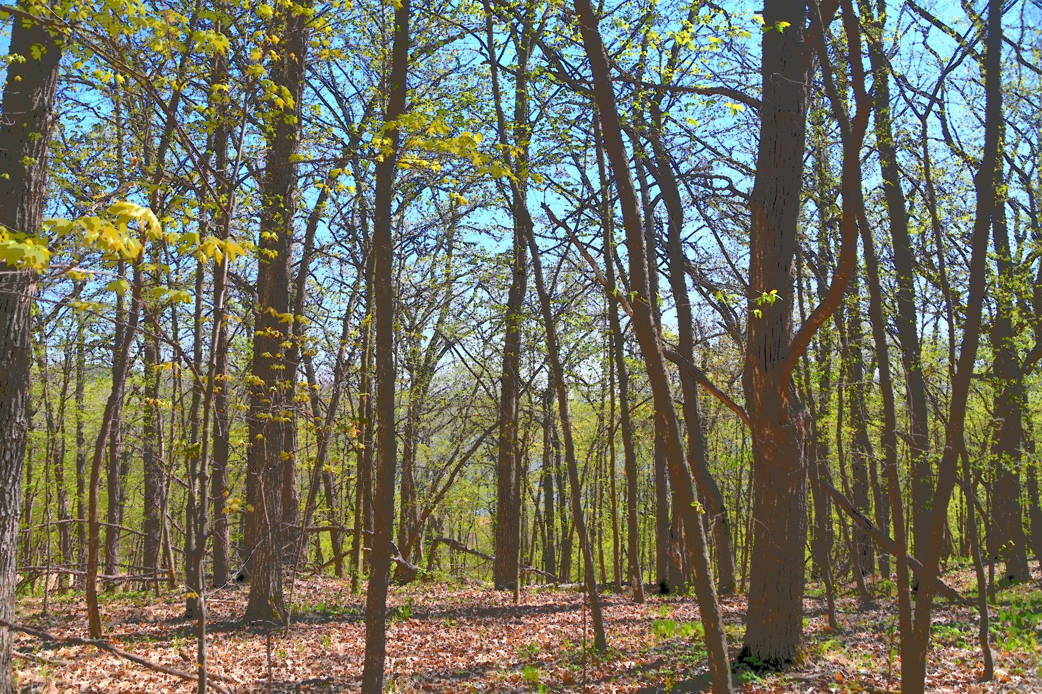 DSC_7932.JPG