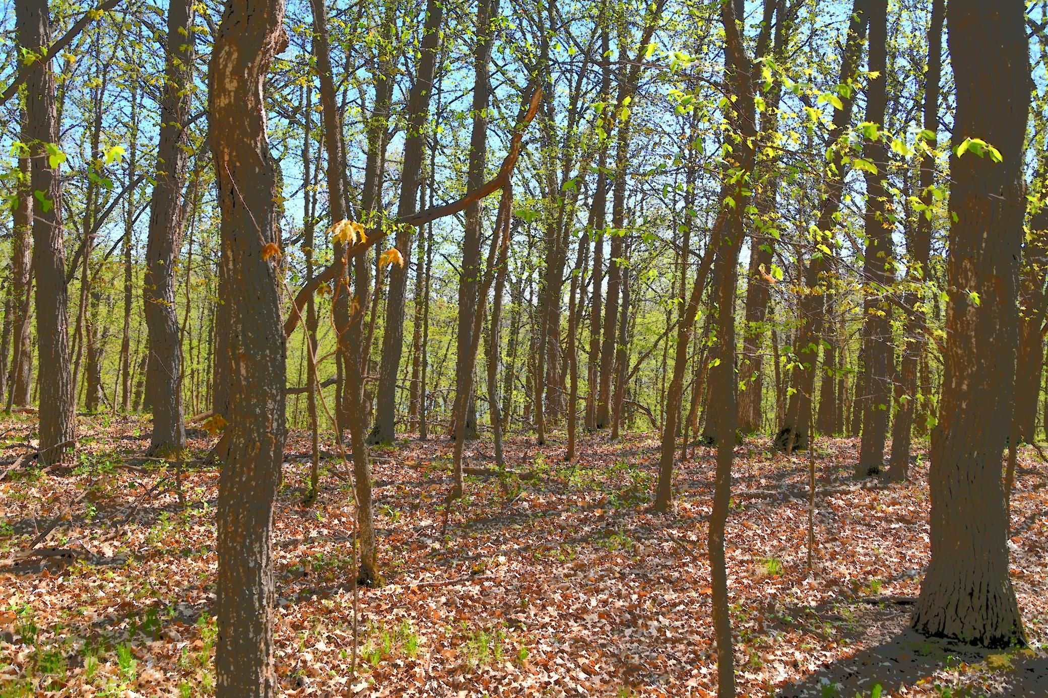 DSC_7935.JPG