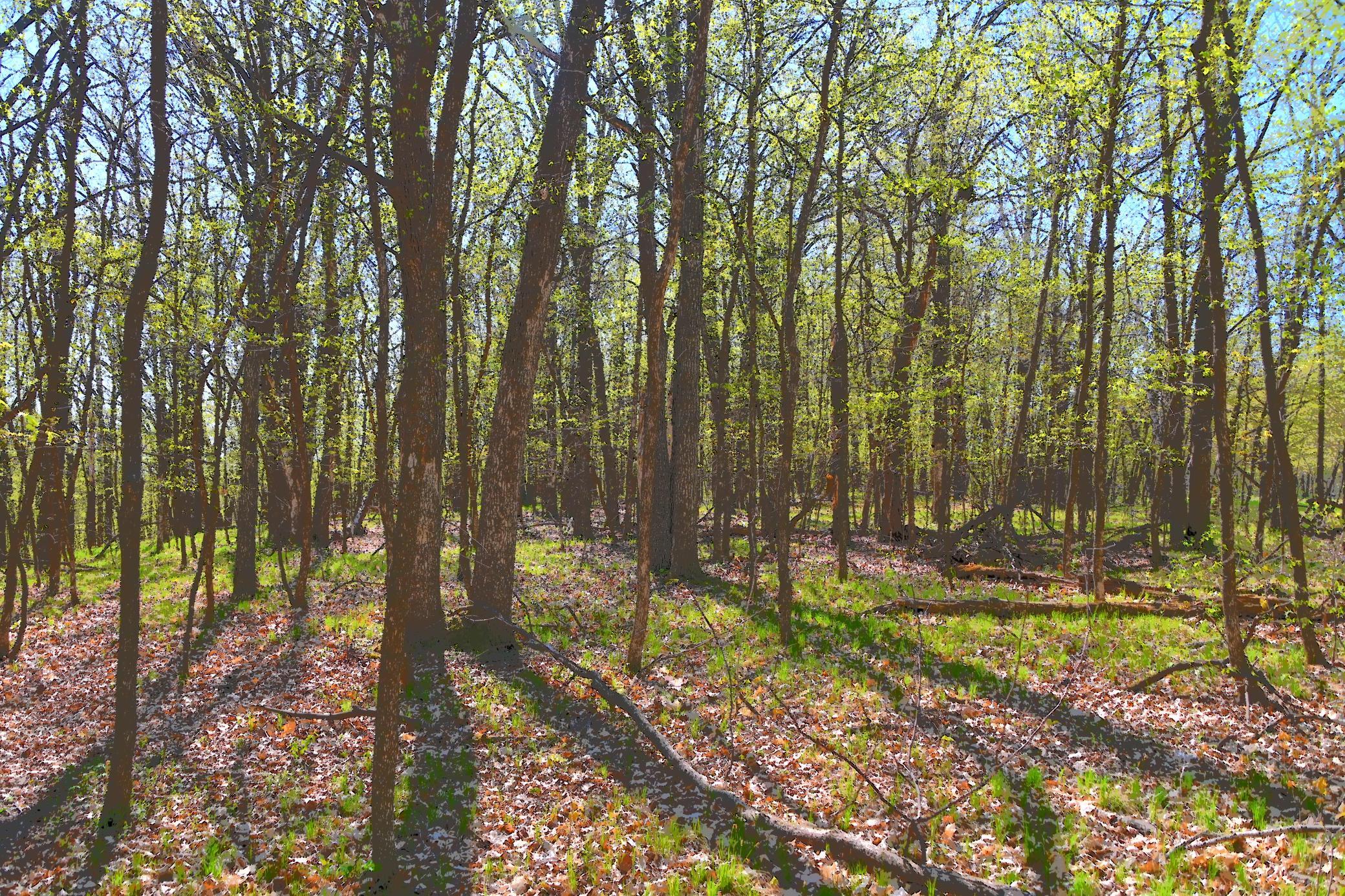 DSC_7934.JPG