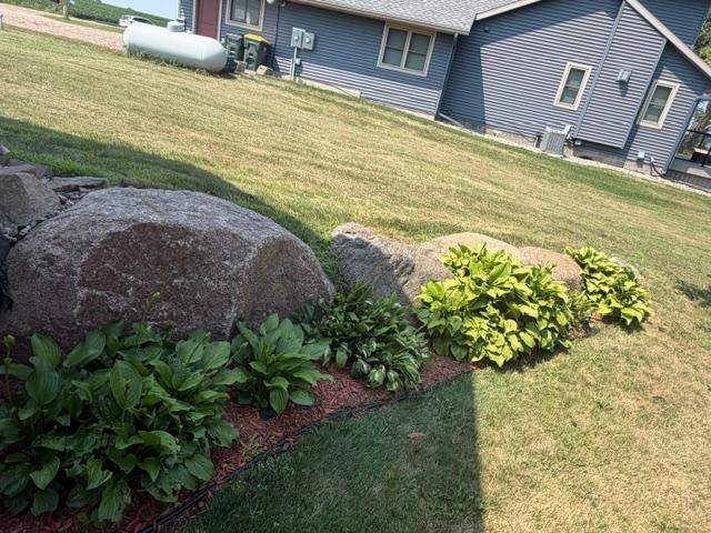 Hostas.JPG