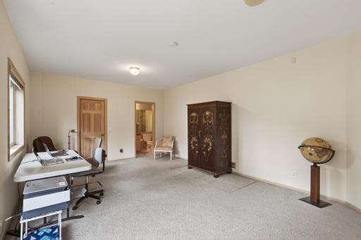 Large lower-level 4th bedroom with walk-in closet and en-suite