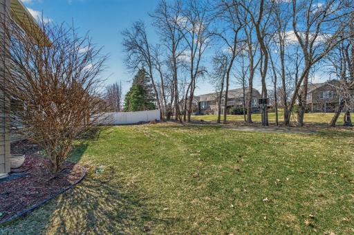 So much room for enjoyment in the backyard