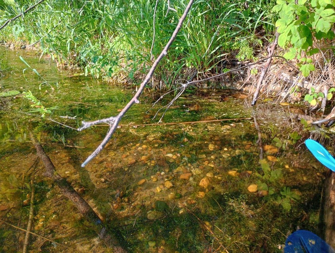 lake bottom