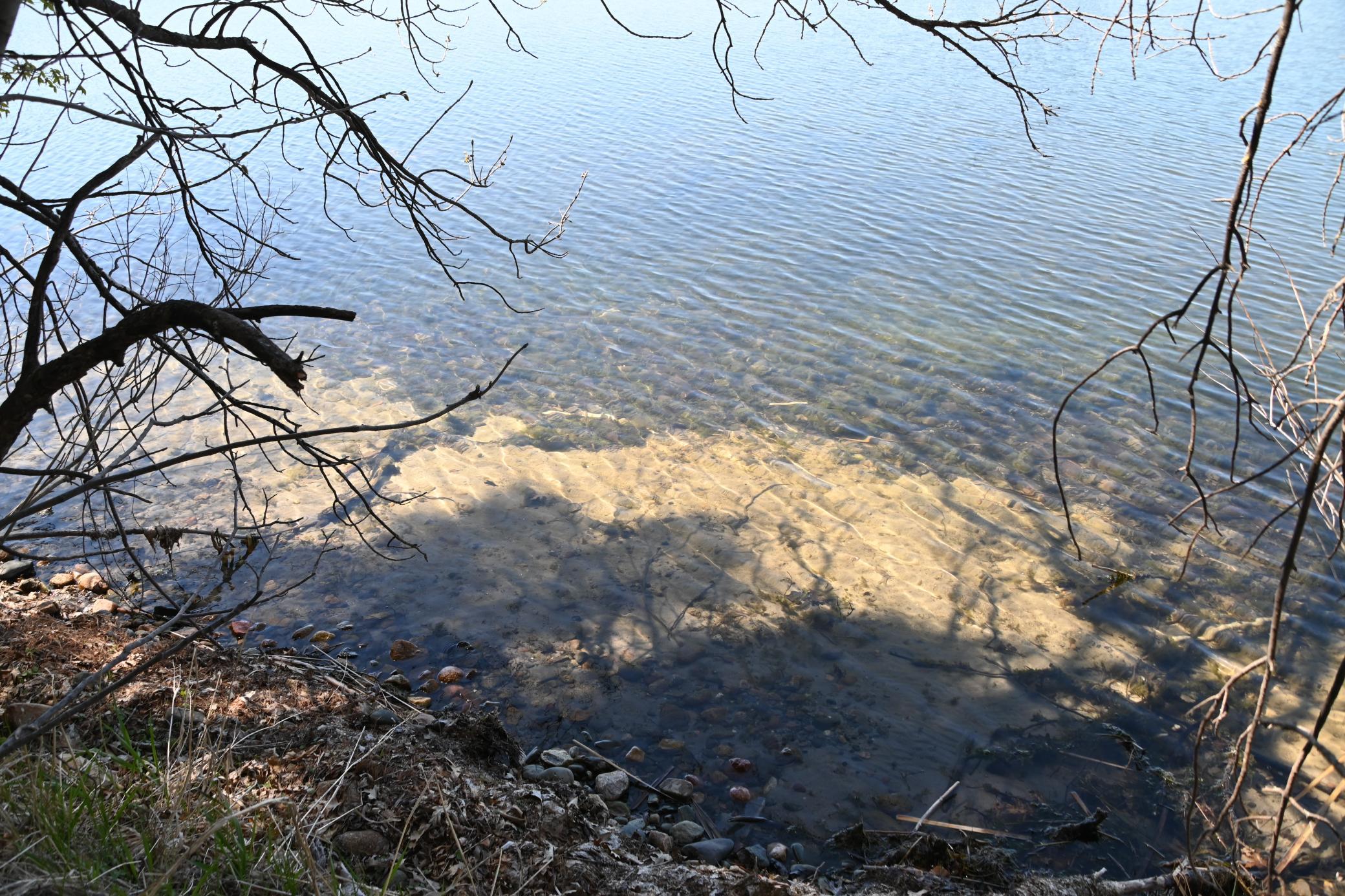 DSC_9501.JPG