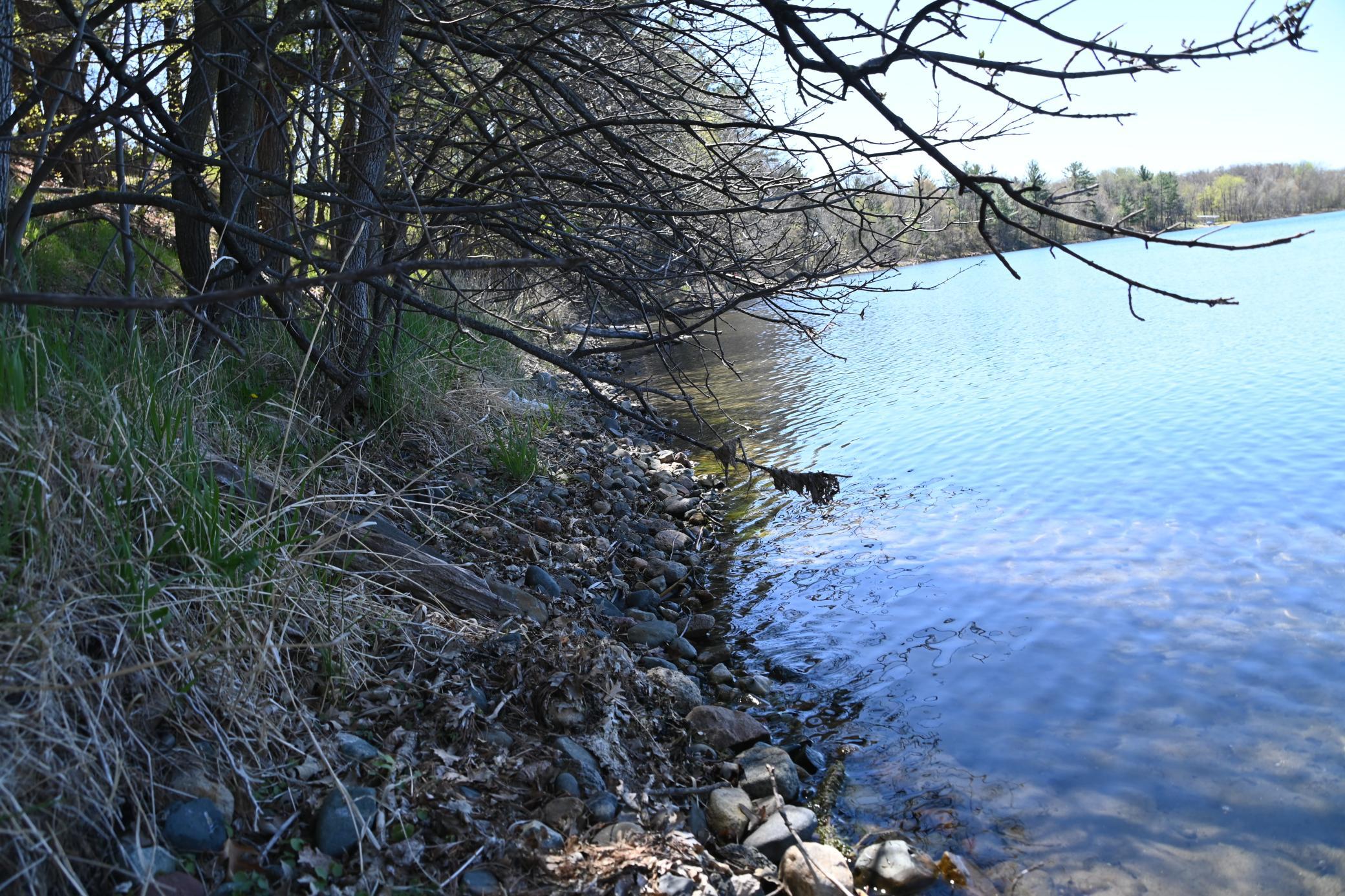 DSC_9507.JPG