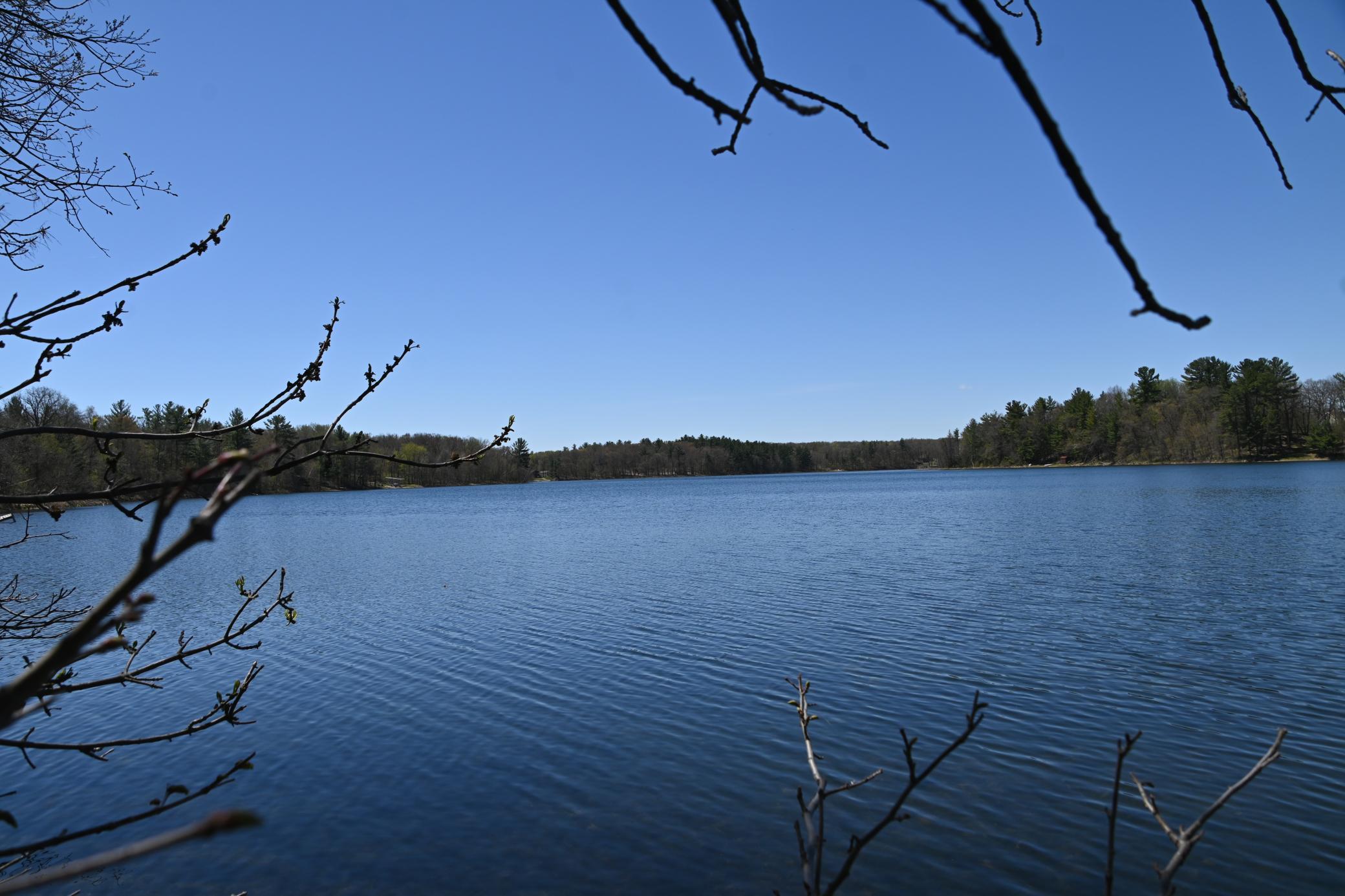 DSC_9512.JPG