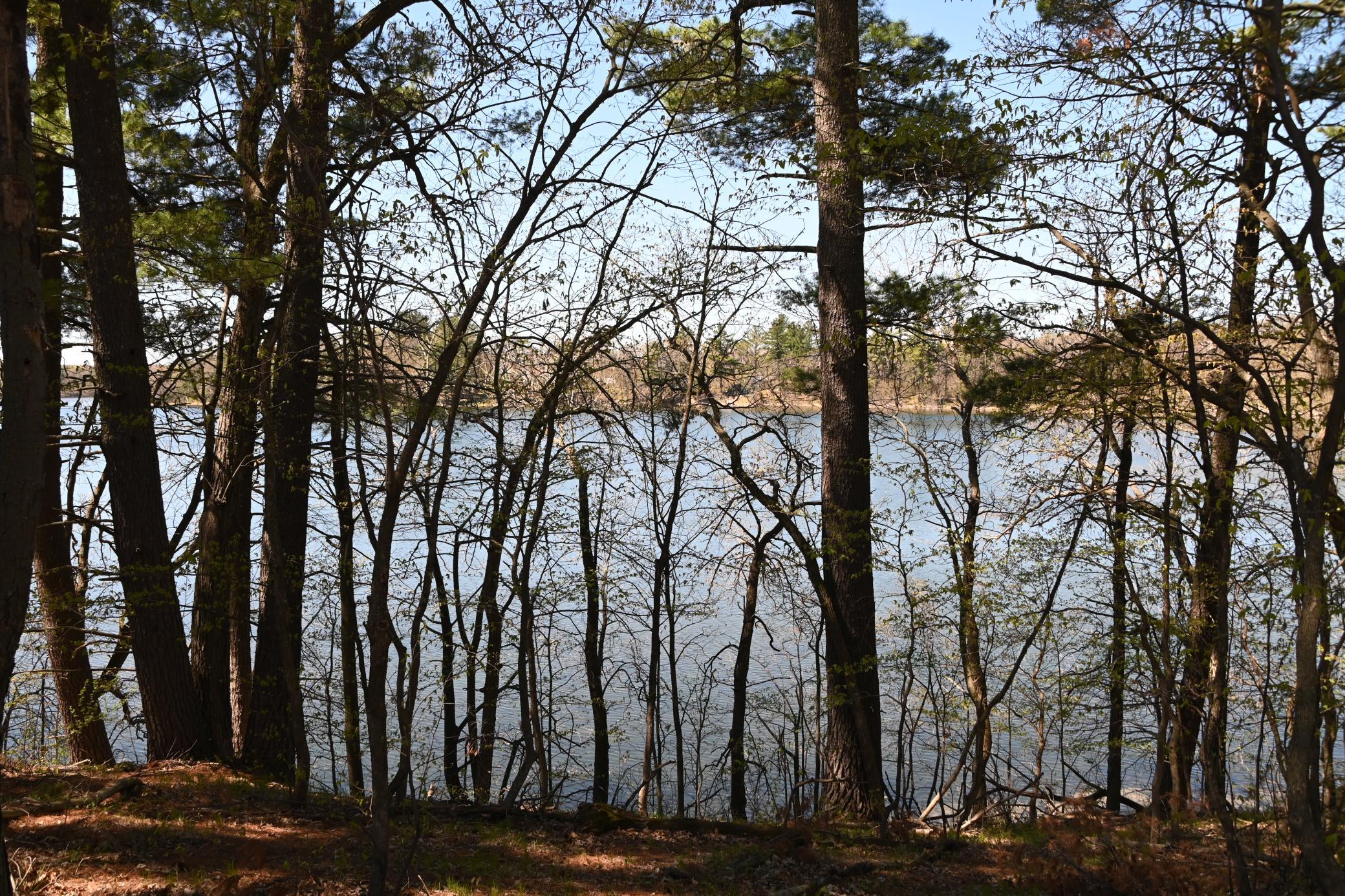 DSC_9500.JPG