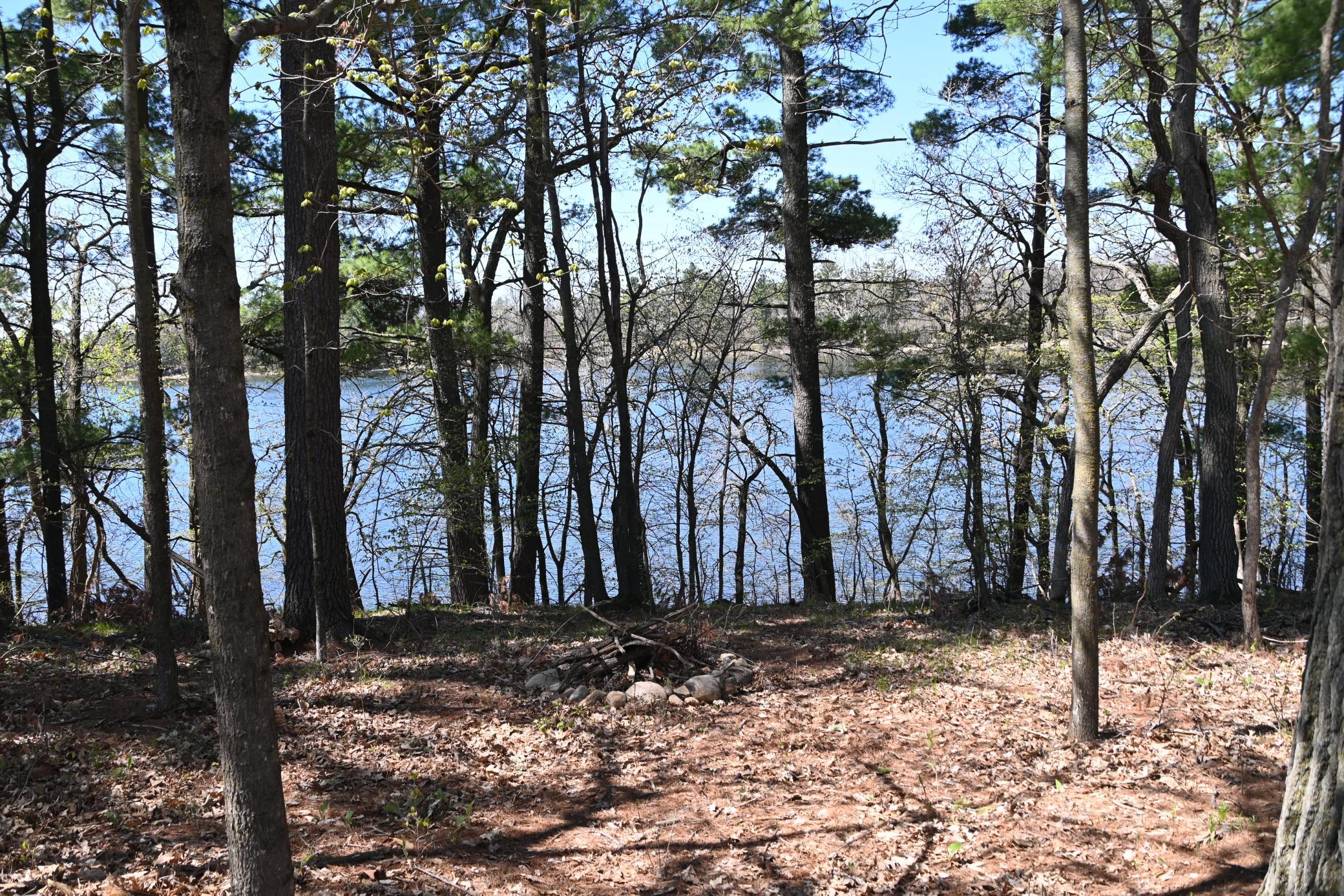 DSC_9545.JPG