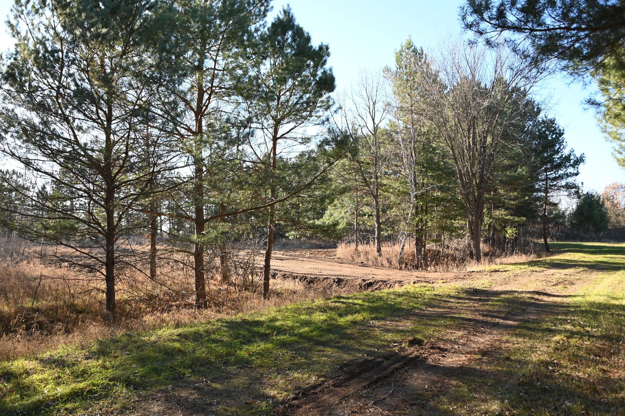 Driveway cut in