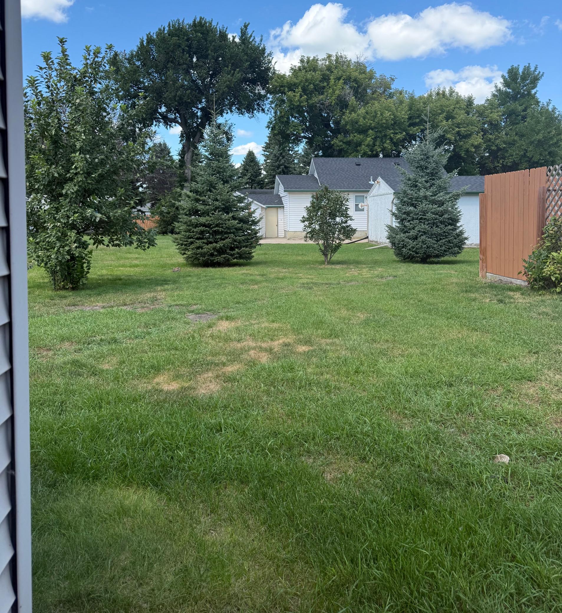 Mature trees / back yard
