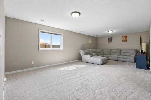 Lower Level Living Room