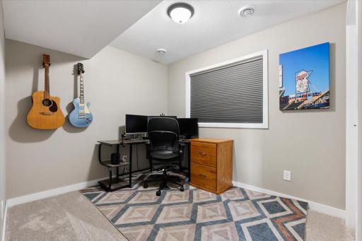 Lower Level Bedroom 3