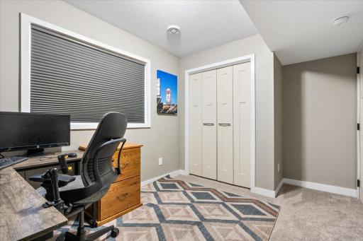 Lower Level Bedroom 3