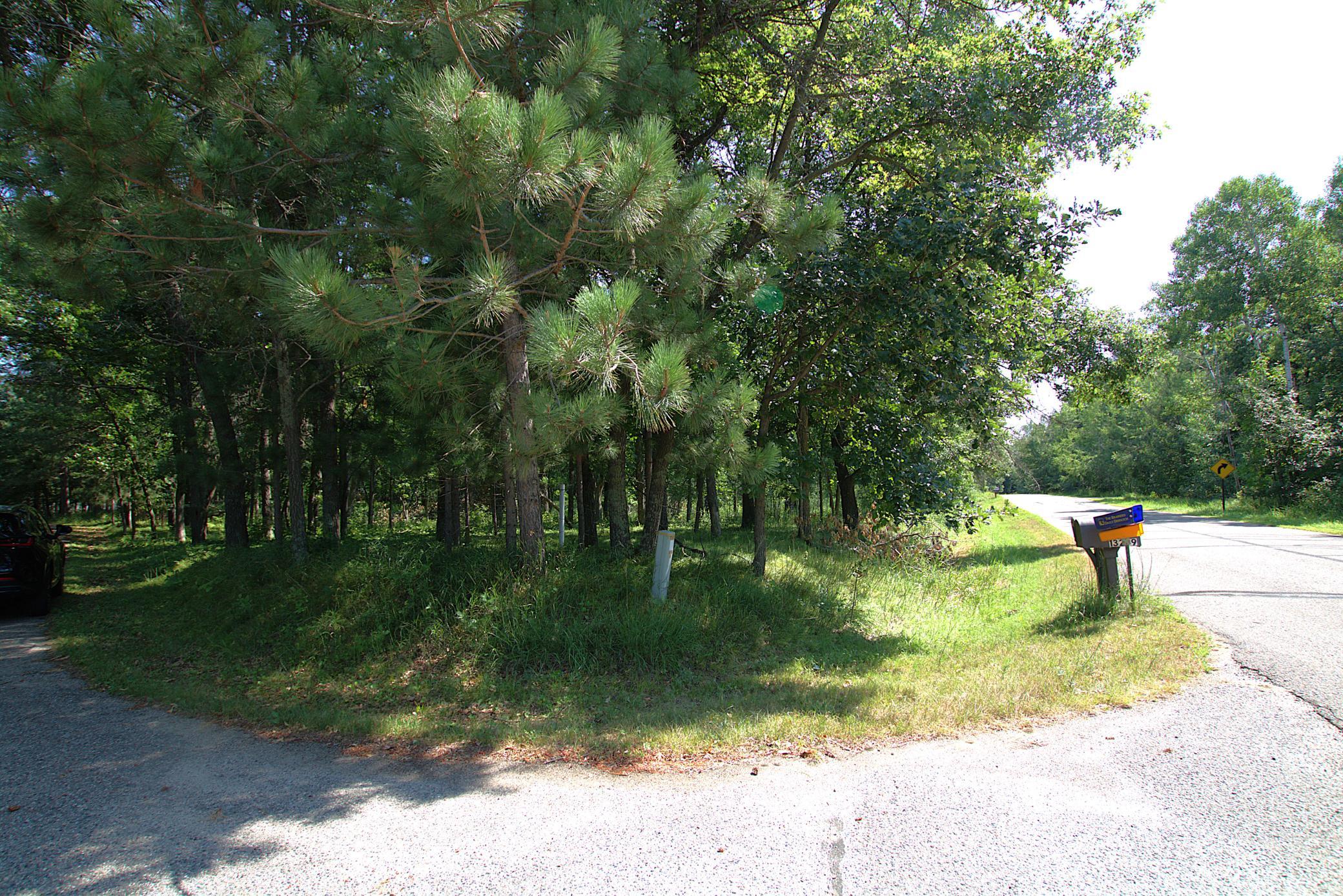 Mix of Mature Hard Woods and Evergreens