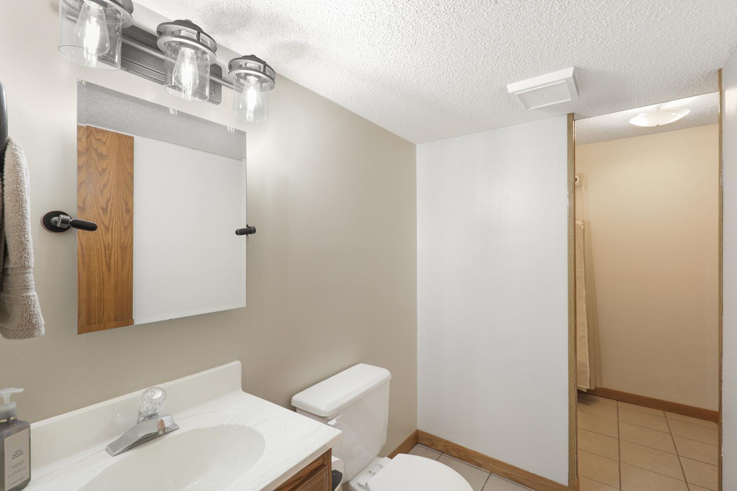 lower level bathroom